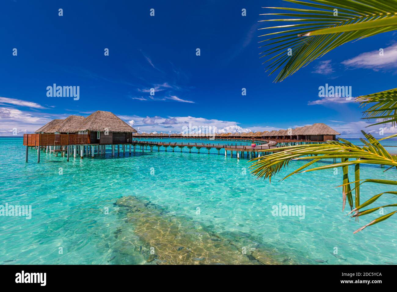Stunning tourism landscape. Luxurious beach resort, palm trees over calm sea water, beach villas and blue sky. Romantic destination, vacation, holiday Stock Photo