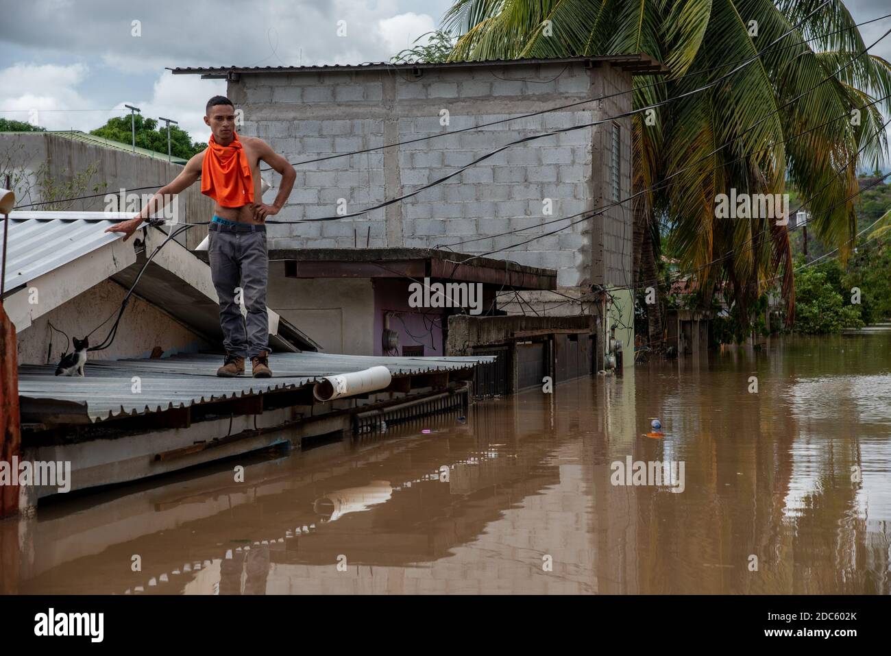 Luis omar hi-res stock photography and images - Alamy