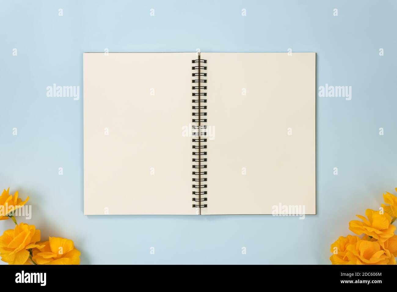 Top Table Spiral Notebook or Spring Notebook Mockup in Unlined Type on Center Frame and Yellow Flowers at Bottom on Blue Pastel Minimalist Background Stock Photo