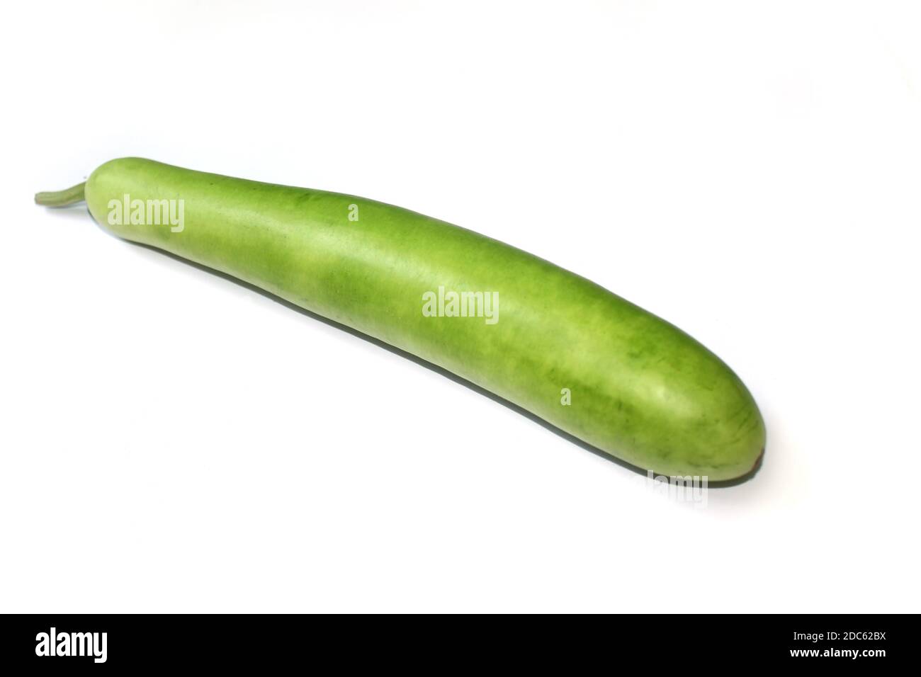 Bottle gourd vector hi-res stock photography and images - Alamy