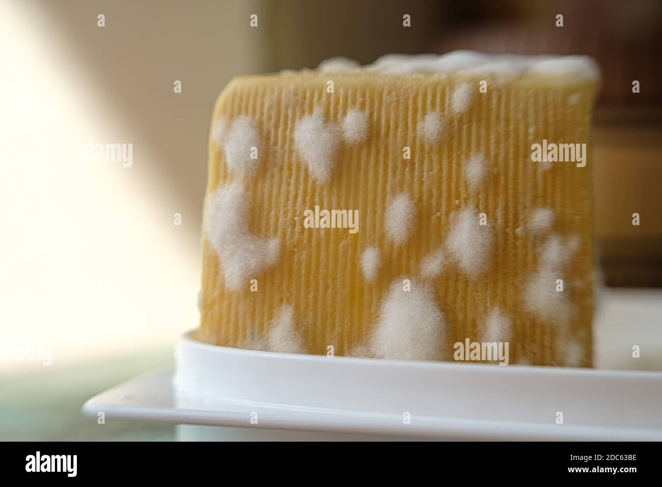 moldy cheese. cheese with mold mushrooms. bad cheese. unhealthy food