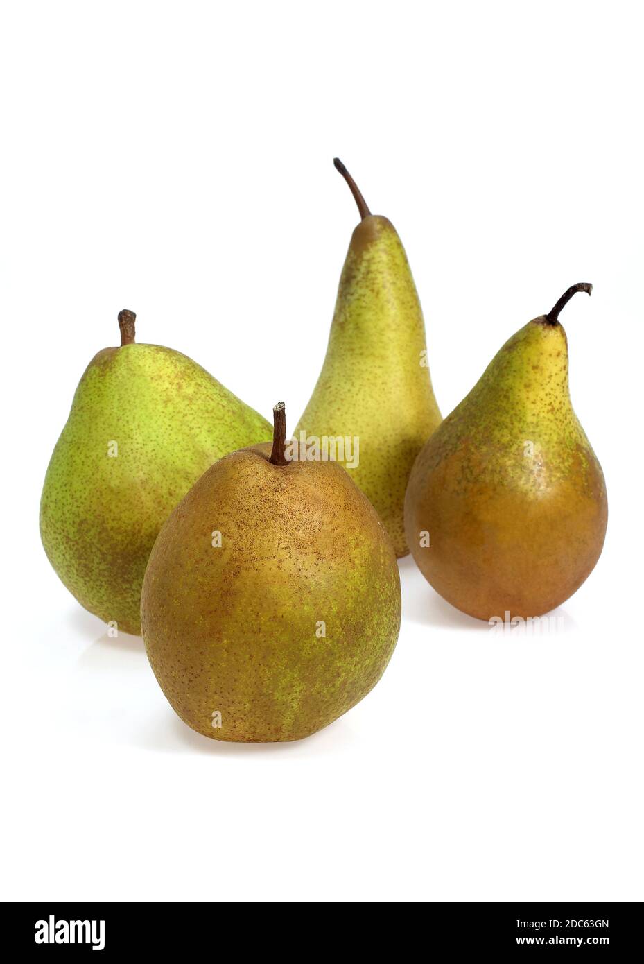 BEURRE HARDY, COMICE, WILLIAMS AND CONFERENCE PEARS Stock Photo