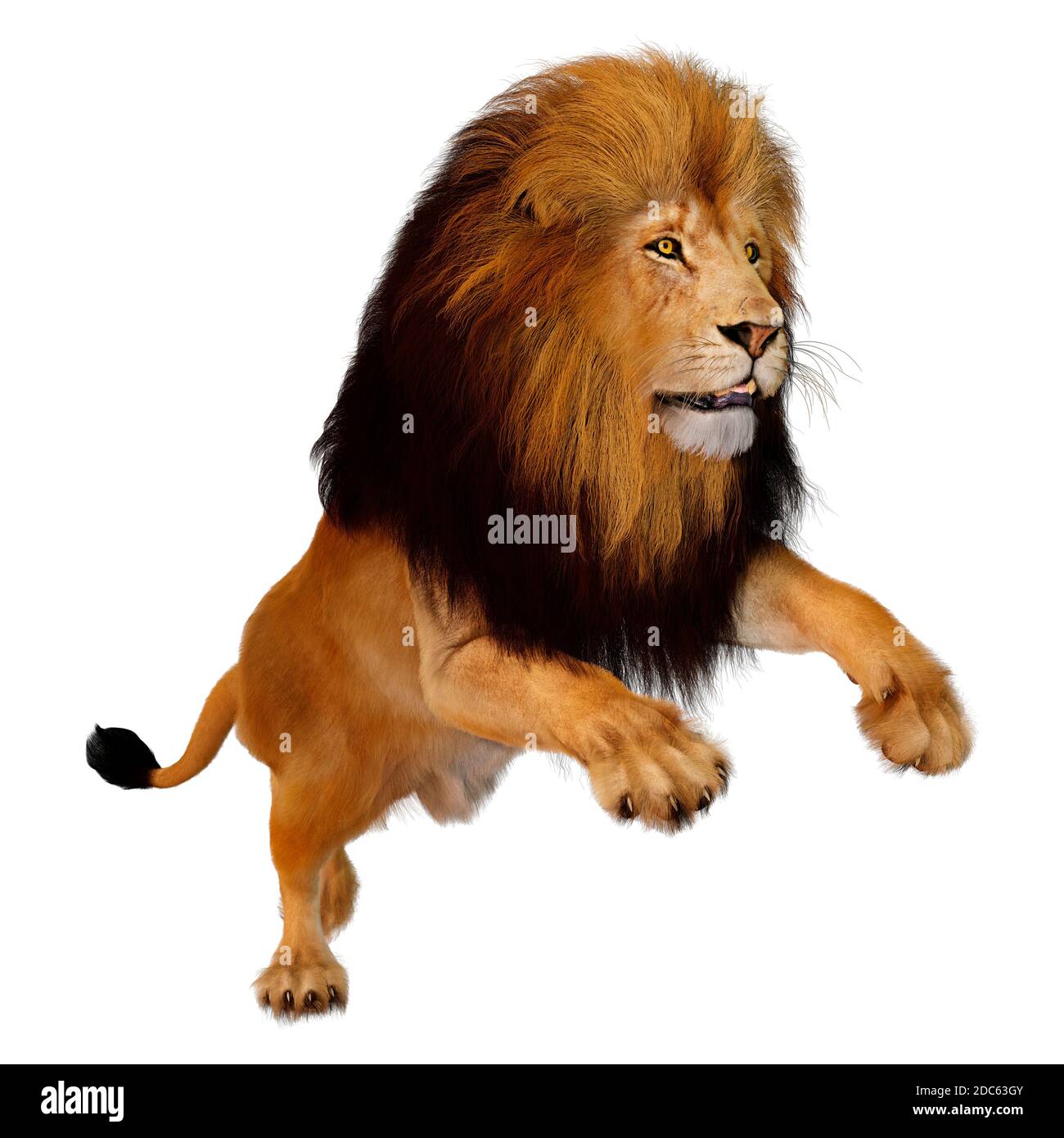 3D rendering of a male lion isolated on white background Stock Photo - Alamy