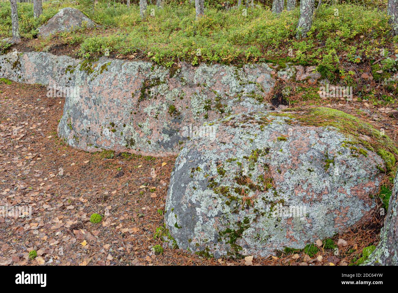 Large granite boulders. Natural background in the forest. High quality photo Stock Photo