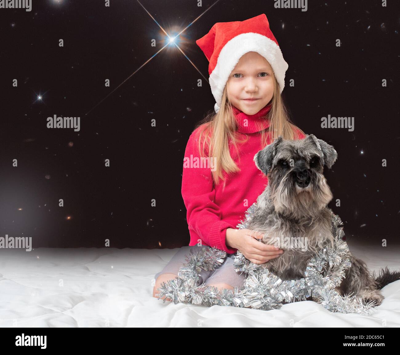 Little adorable girl in a Santa Claus hat and a miniature schnauzer dog decorated with tinsel greets Christmas against a blurry starry sky. Christmas Stock Photo