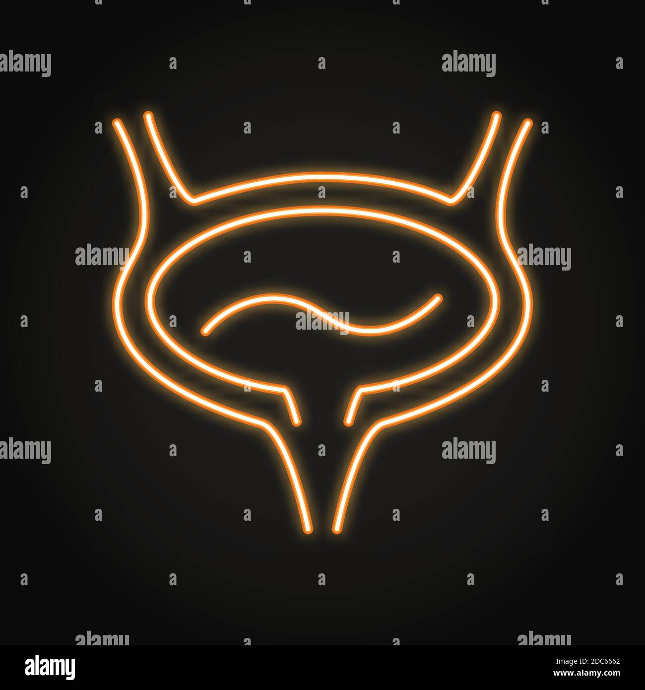 Neon human bladder icon in line style Stock Vector Image & Art - Alamy