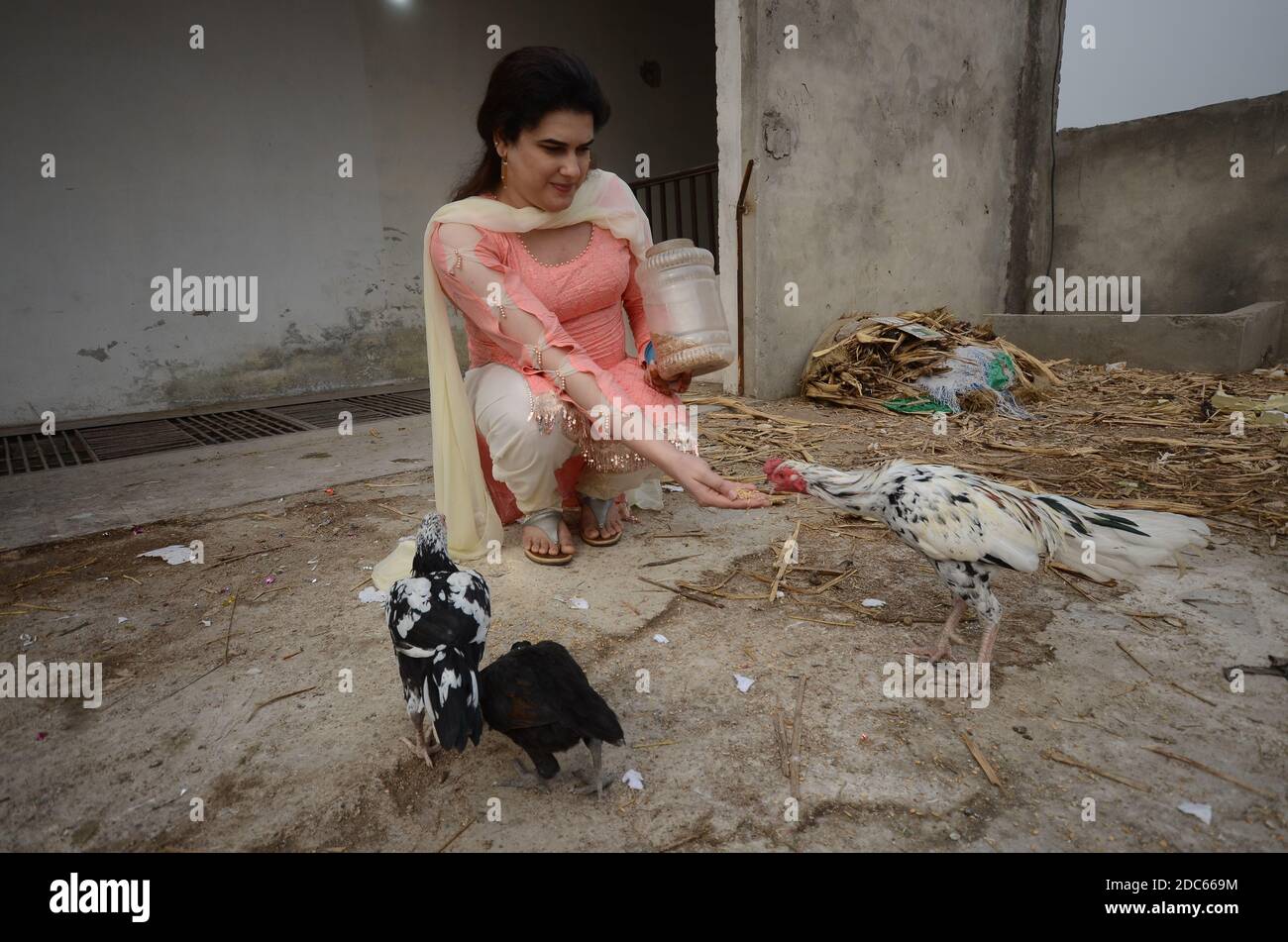Peshawar, Pakistan. 19th Nov, 2020. Transwoman Zeeshan Khan feeding chickens. In September 2020, the 26-year-old had lost a friend who was killed. (to dpa: 'Transgender in Pakistan lament hate and violent crime') Credit: Hasnain Ali/dpa/Alamy Live News Stock Photo