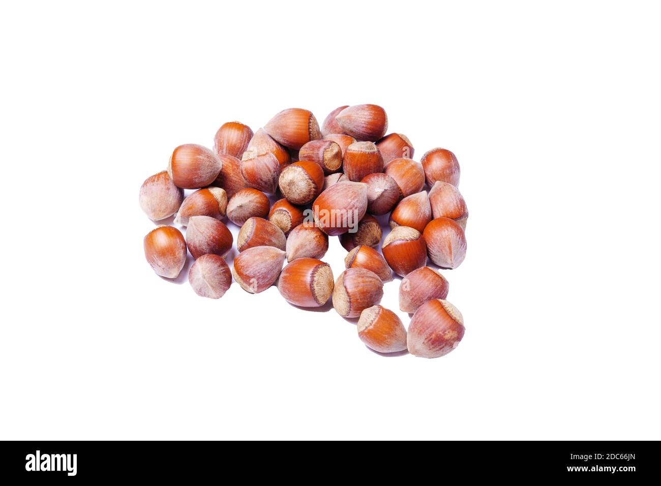 unshelled hazelnuts isolated on white background. healthy food Stock Photo