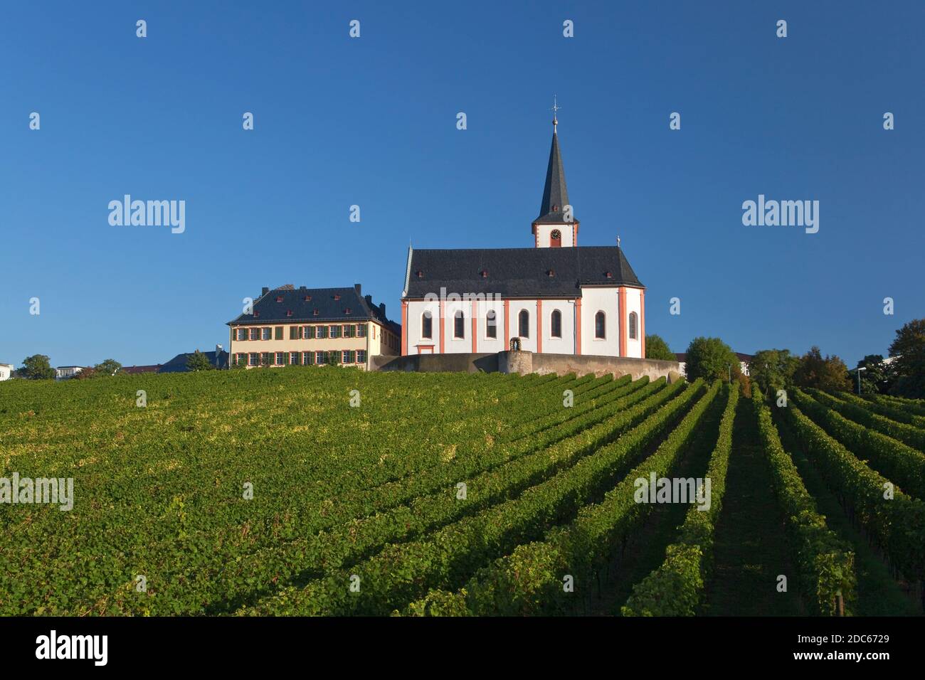 geography / travel, Germany, Hesse, Hochheim at Main, vineyard Hochheimer Domdechaney in front of chur, Additional-Rights-Clearance-Info-Not-Available Stock Photo