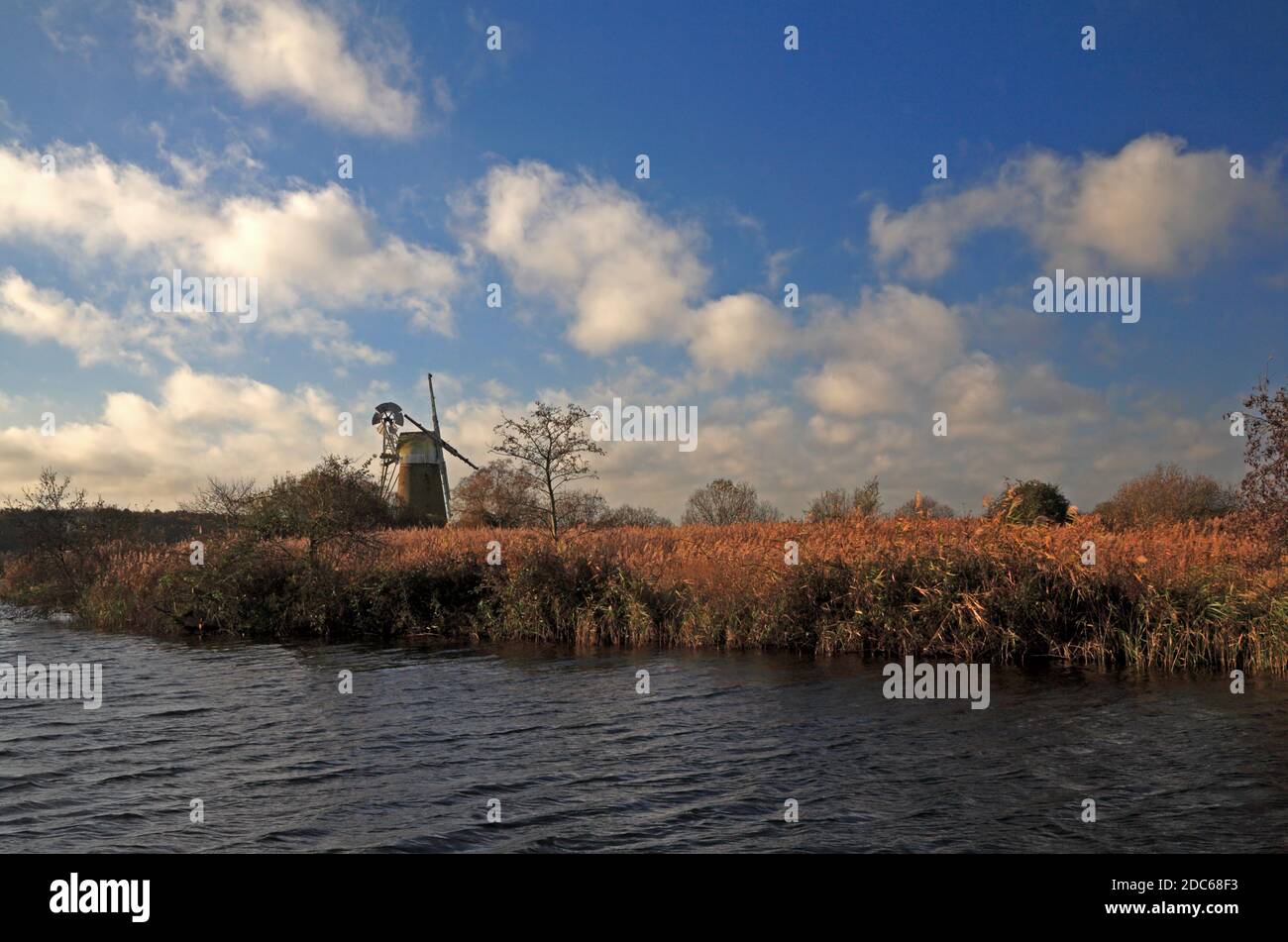 Norfolk broads reed beds hi-res stock photography and images - Alamy