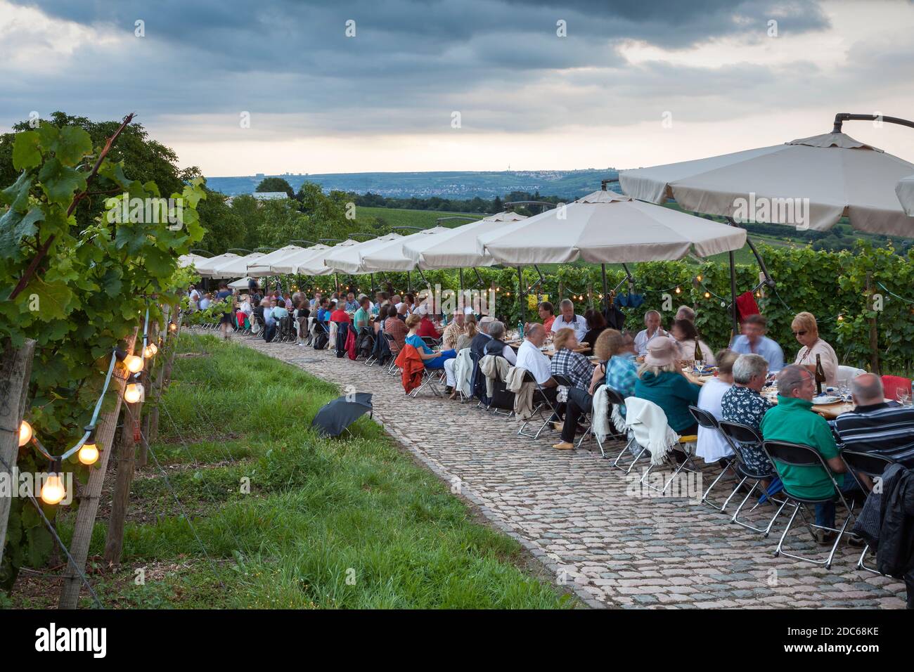 geography / travel, Germany, Hesse, Eberbach Monastery, Steinberg company at table of the Upper Middle, Additional-Rights-Clearance-Info-Not-Available Stock Photo