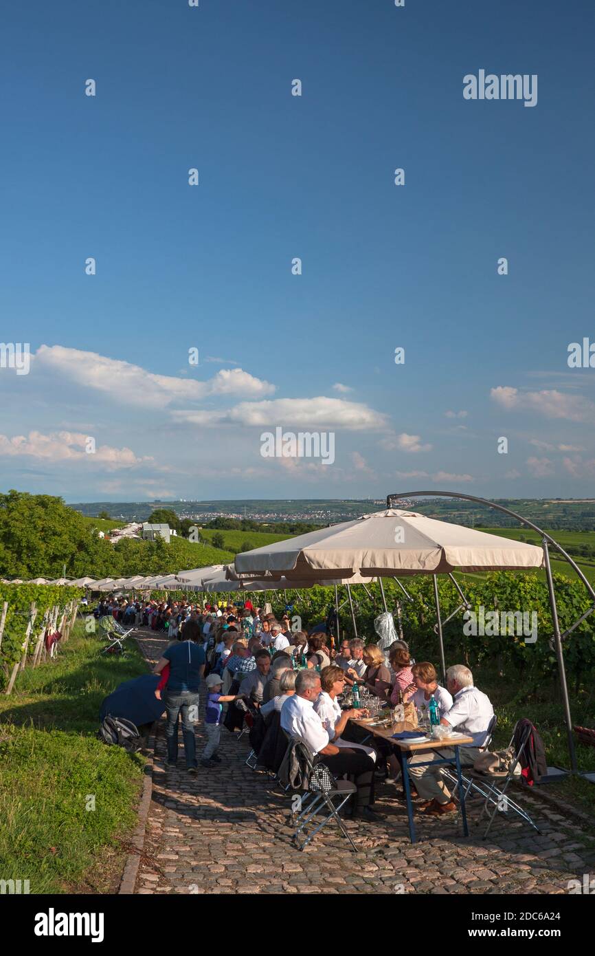 geography / travel, Germany, Hesse, Eberbach Monastery, Steinberg company at table of the Upper Middle, Additional-Rights-Clearance-Info-Not-Available Stock Photo
