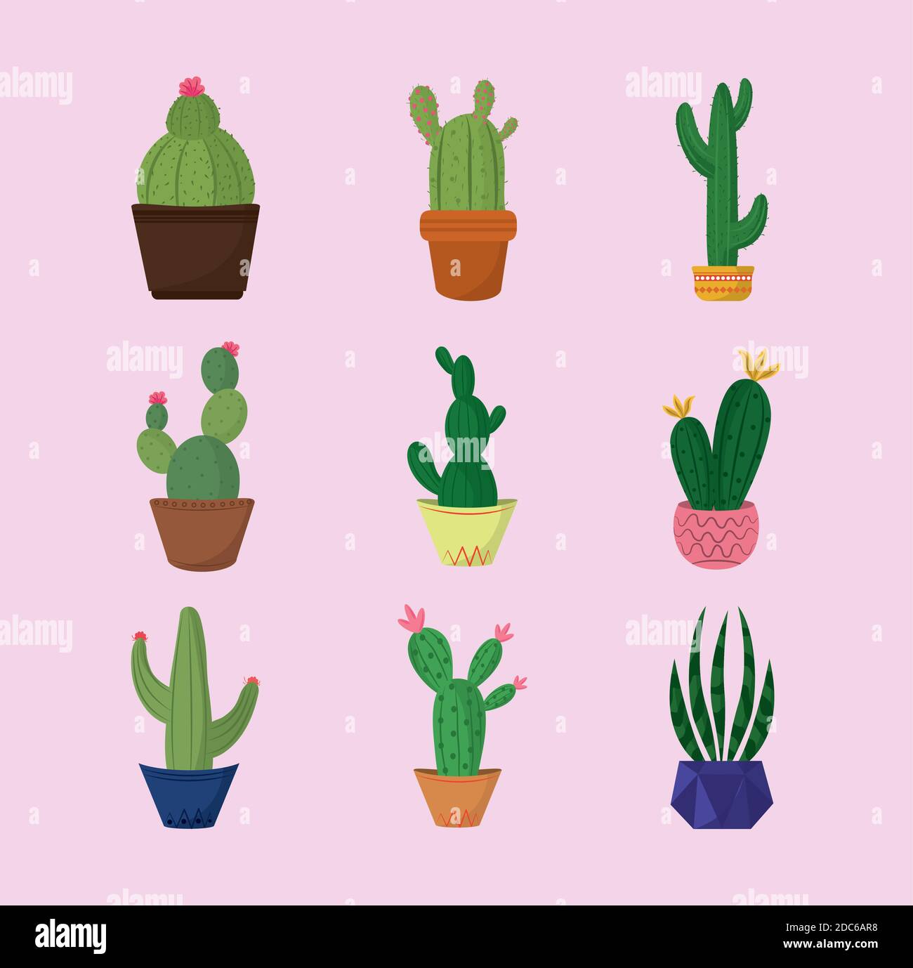 collection icons different cactus in pots decoration vector ...