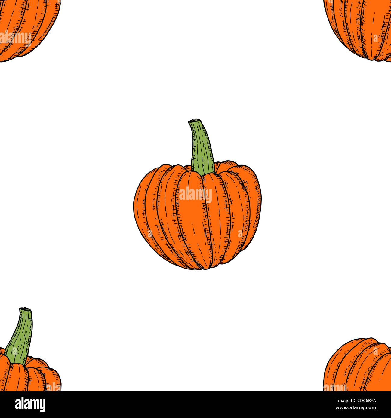 Seamless pattern of pumpkins. Vector cartoon background. Hand-drawn ...