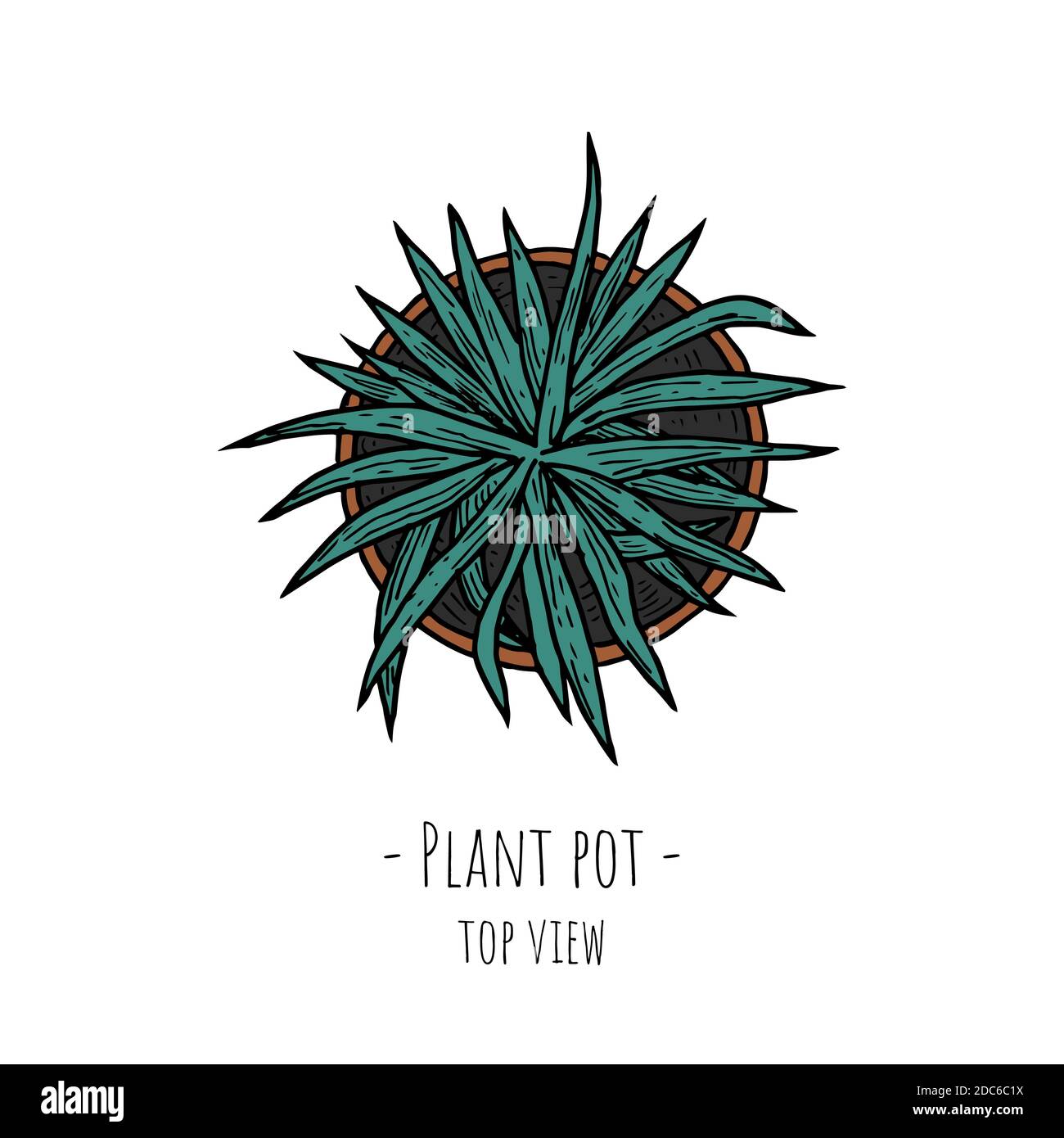 Plant pot. Top view. Isolated object on a white background. Vector cartoon illustration. Hand-drawn style. Stock Vector