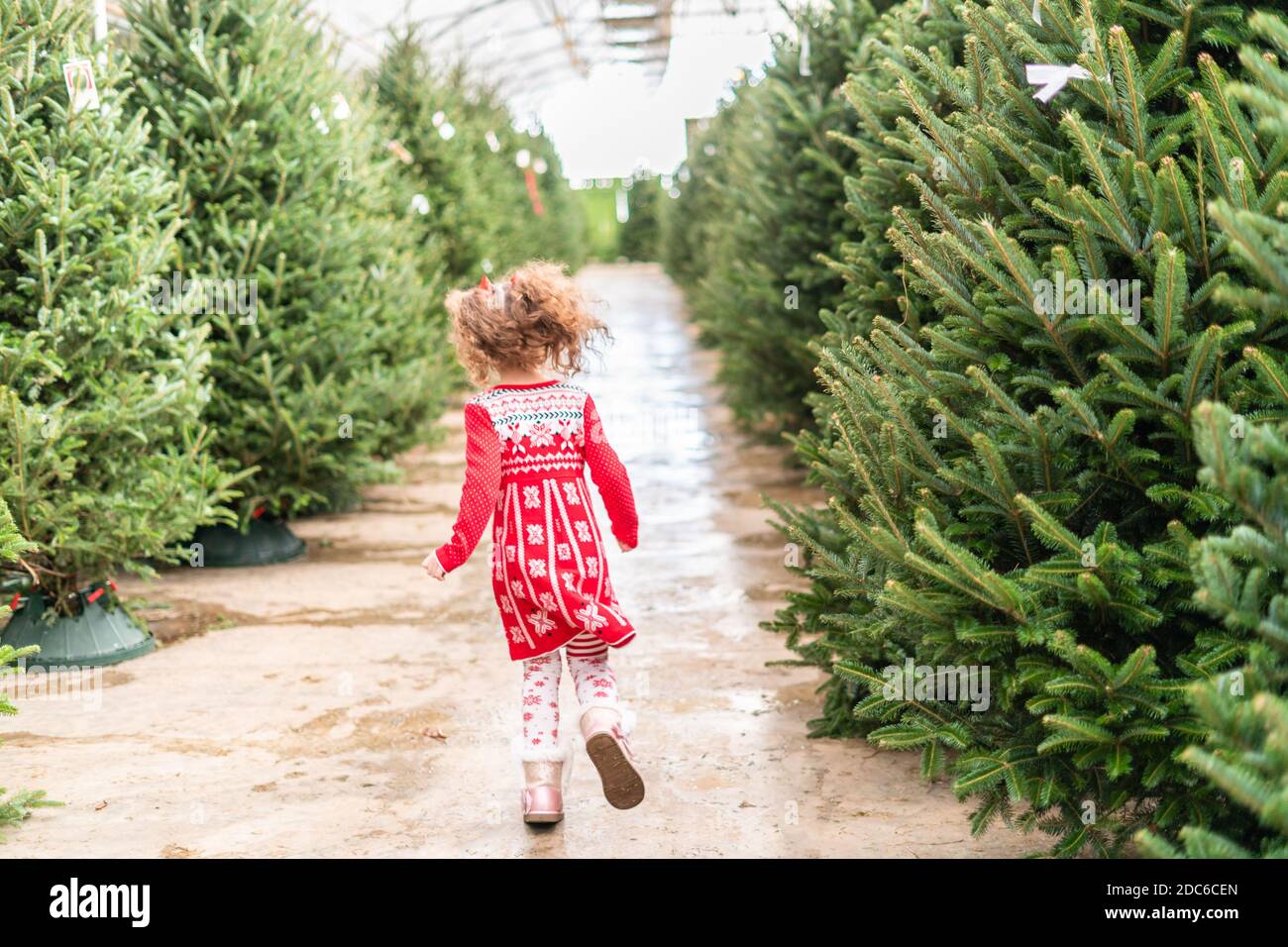 Little girl in red dress at the Christmas tree farm Stock Photo - Alamy