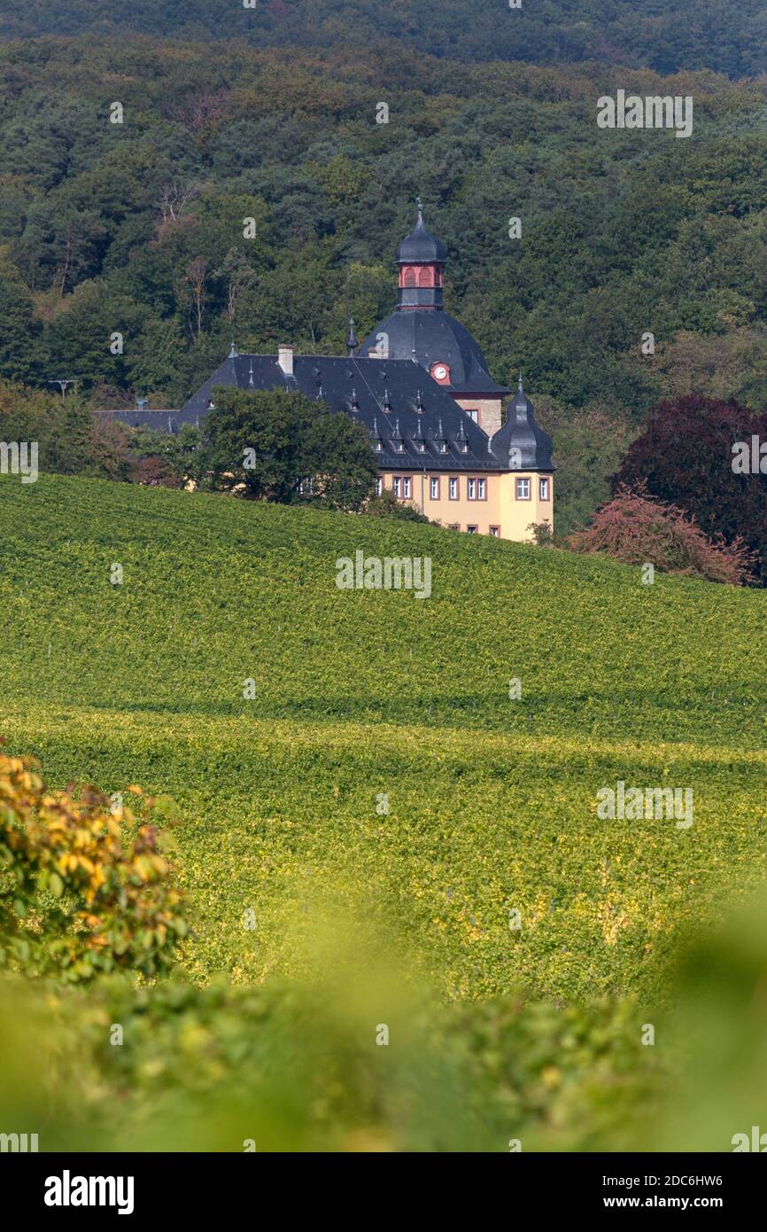 geography / travel, Germany, Hesse, Oestrich-Winkel, castle Vollrads in the Weinberge, Oestrich-Winkel, Additional-Rights-Clearance-Info-Not-Available Stock Photo
