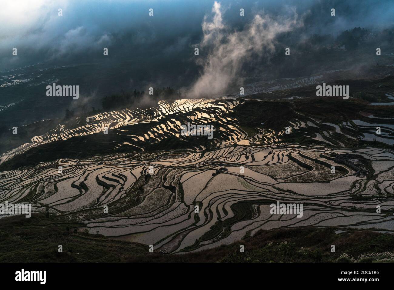 Rice terraces, Yunnan, China Stock Photo - Alamy