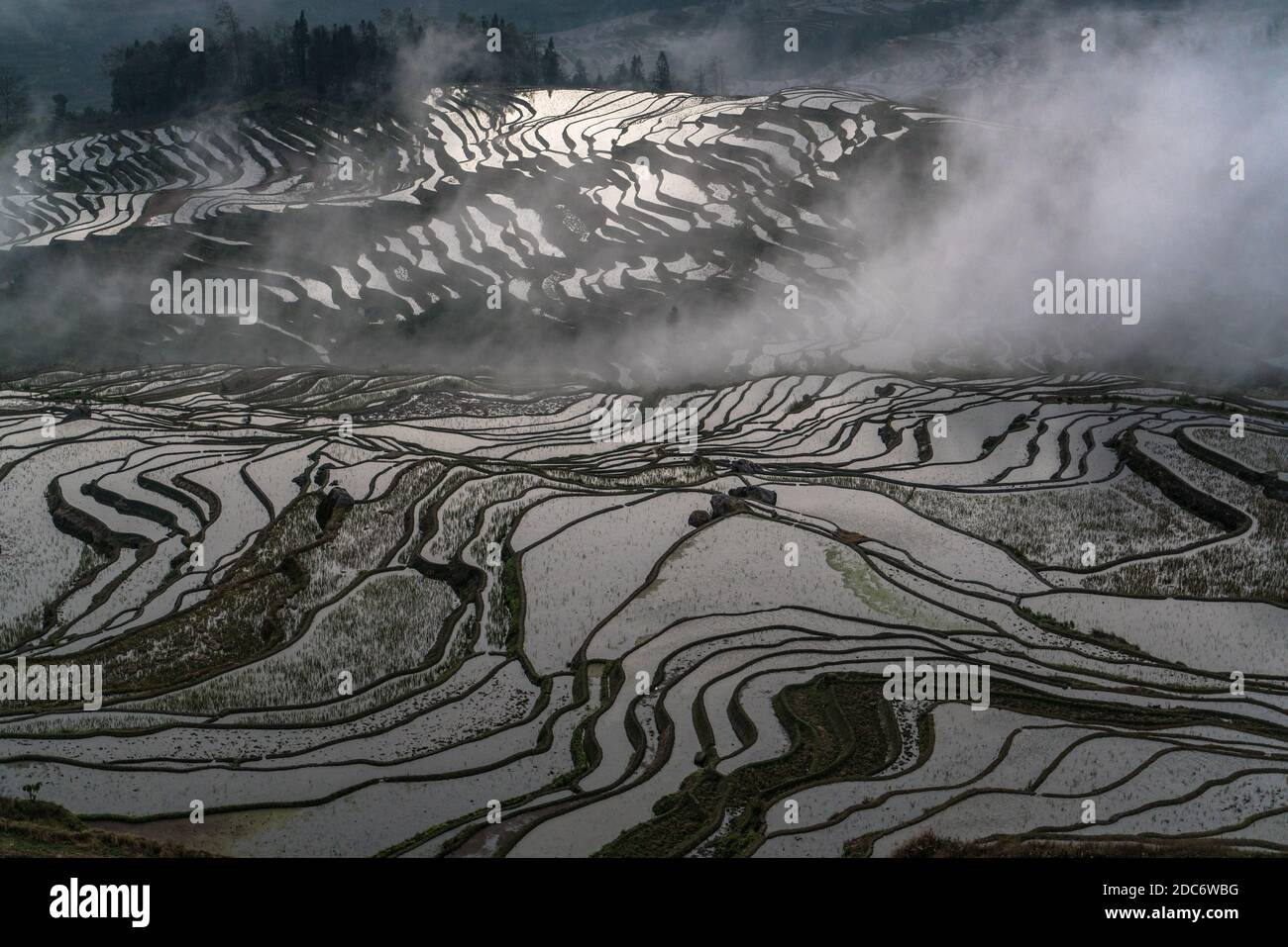 Rice terraces, Yunnan, China Stock Photo - Alamy