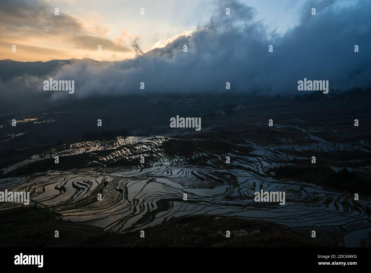 Rice terraces, Yunnan, China Stock Photo - Alamy