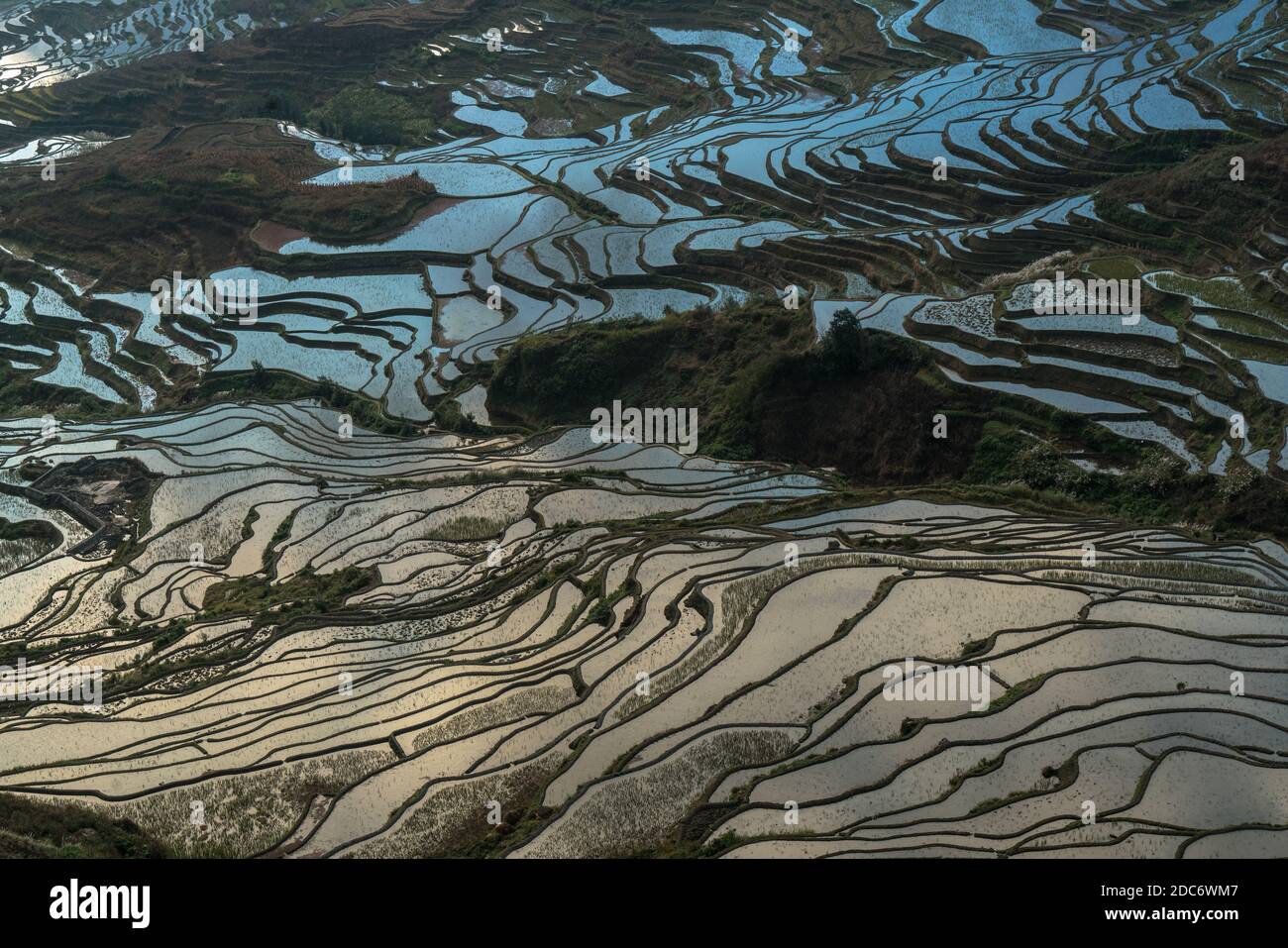 Rice terraces, Yunnan, China Stock Photo - Alamy