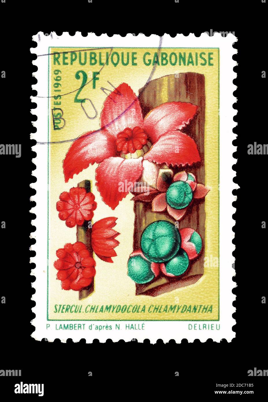 Gabon - circa 1969 : Cancelled postage stamp printed by Gabon, that shows Chlamydocola chlamydantha tree, circa 1969. Stock Photo
