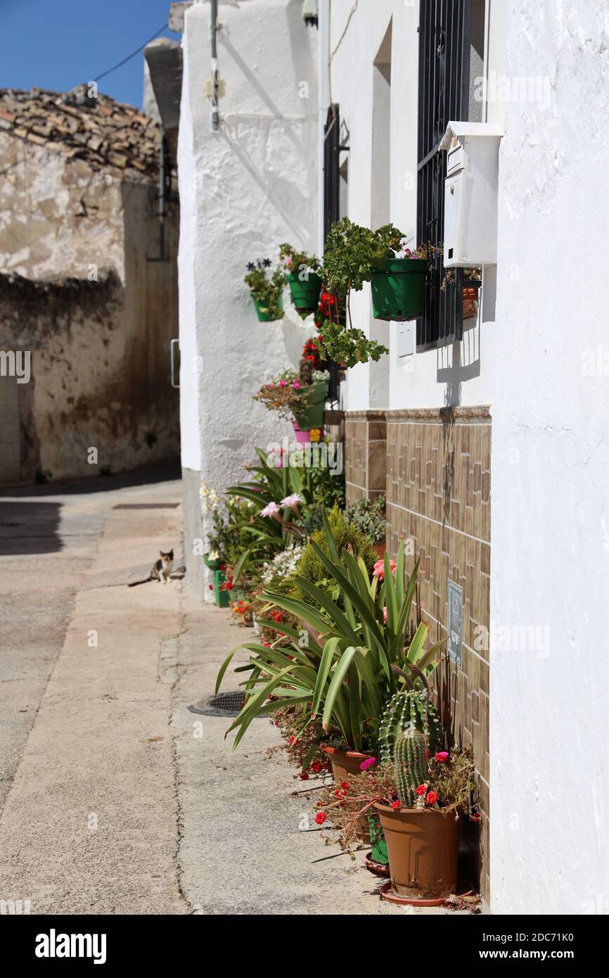 Frailes,Sierra Sur, Jaen, Andalusia Spain. Image from the streets of the village renowned for its healing waters,flower pots and picturesque buildings Stock Photo