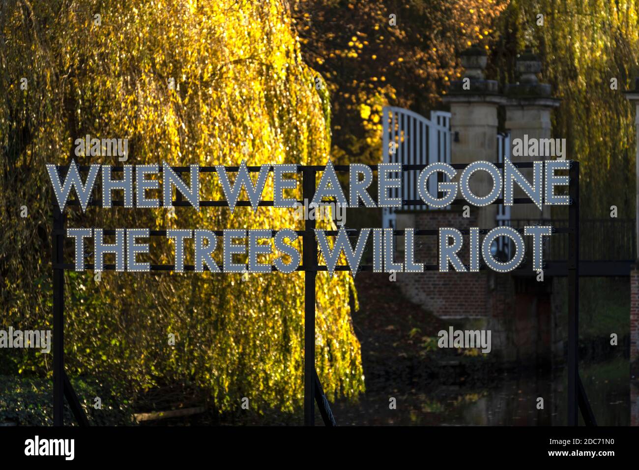 When We Are Gone The Trees Will Riot, Lichtinstallation des Künstlers Robert Montgomery im Park der Burg Hülshoff, Havixbeck, Münsterland, Nordrhein-W Stock Photo