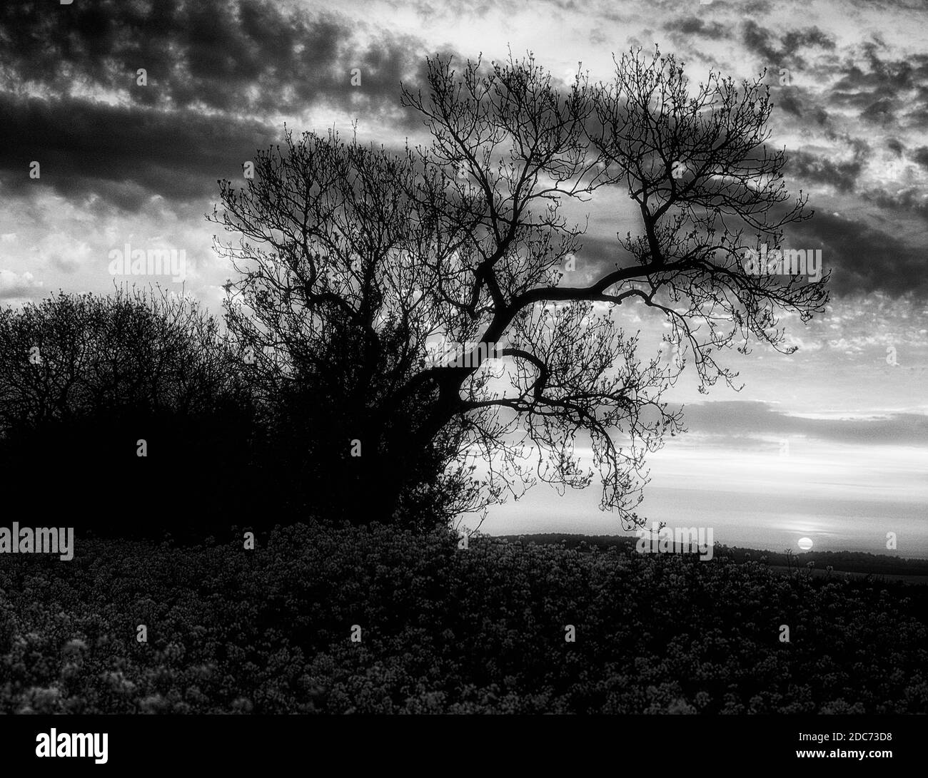 Sunset over the Lincolnshire Wolds, England, UK Stock Photo