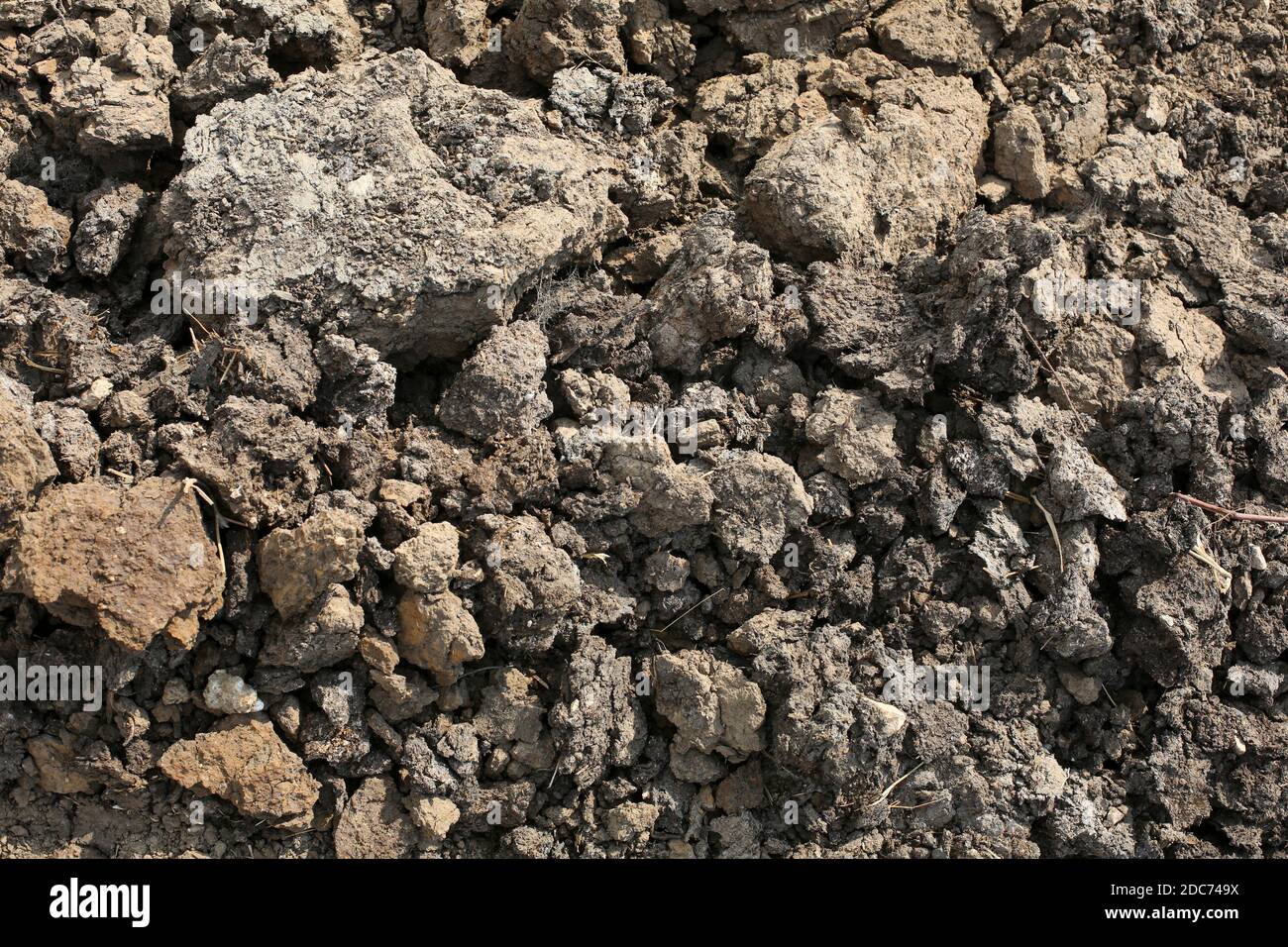 Freshly tilled soil in an agricultural field Stock Photo