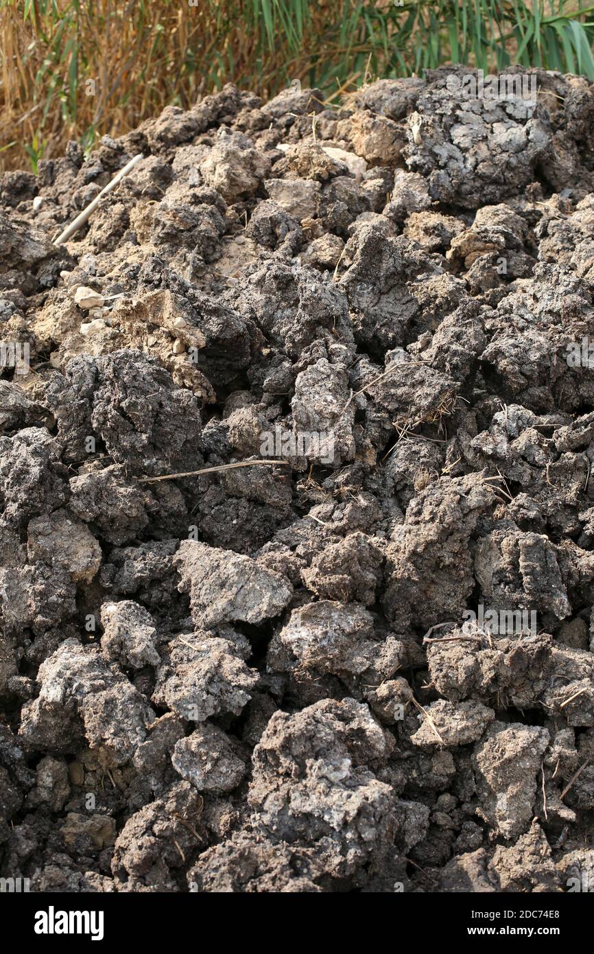 Freshly tilled soil in an agricultural field Stock Photo