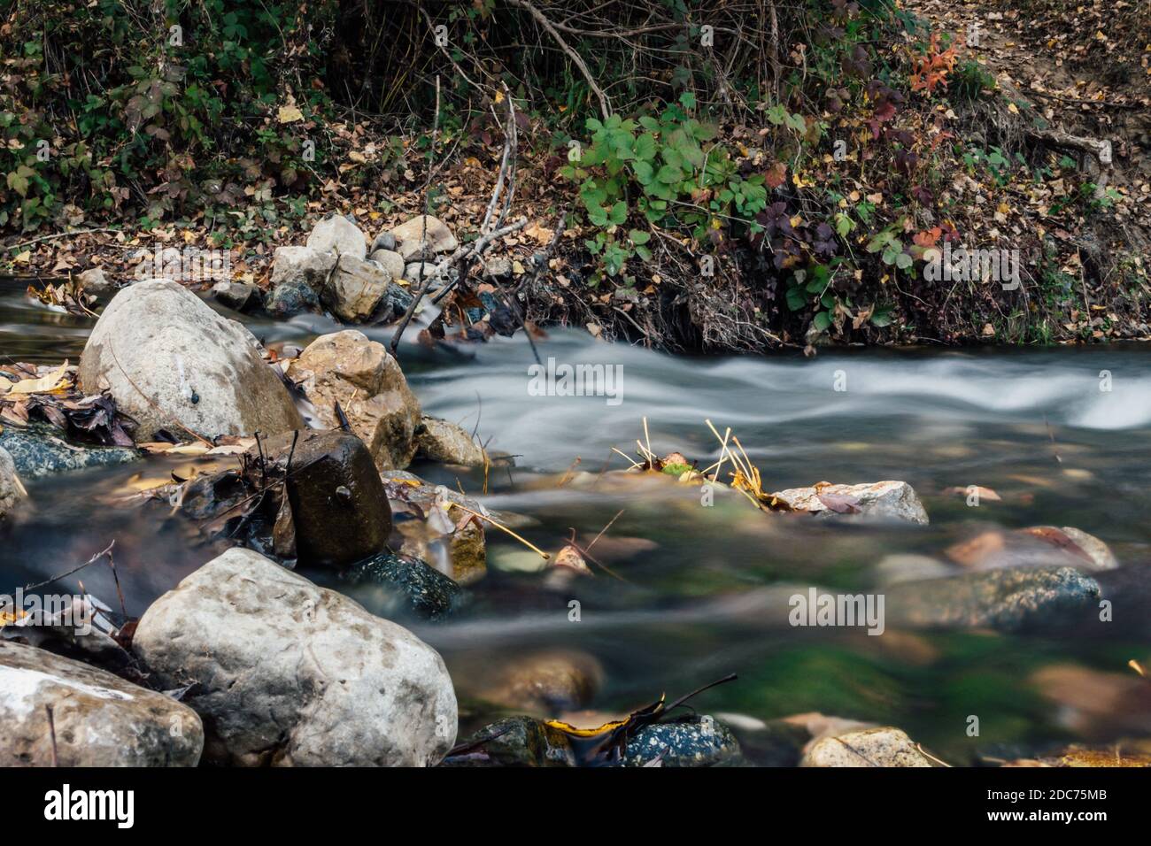Small mountain brook in the woods. Motion blurred water with rocks and foliage during cold autumn day. Stock Photo