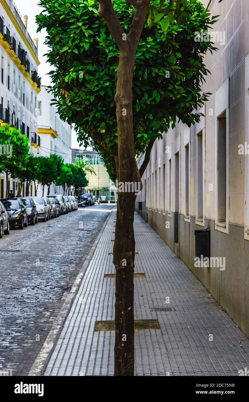 Normal suburban street scene on a peaceful and quiet day Stock Photo ...