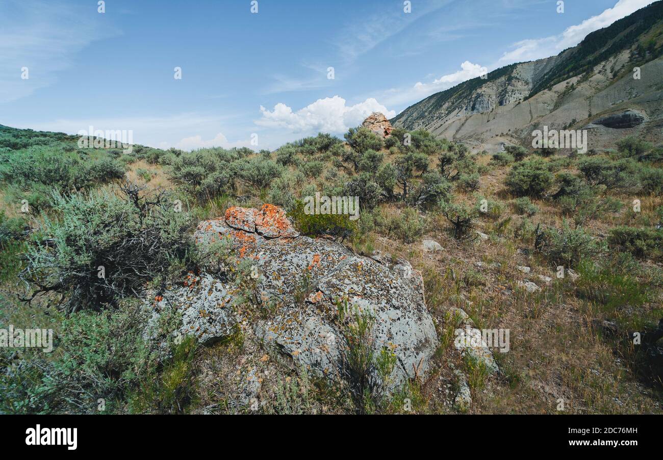Arid landscape of Yellowstone National Park with sagebrush, mountains, grasses, on a bright sunny day in summer near West Yellowstone, Wyoming, USA. Stock Photo