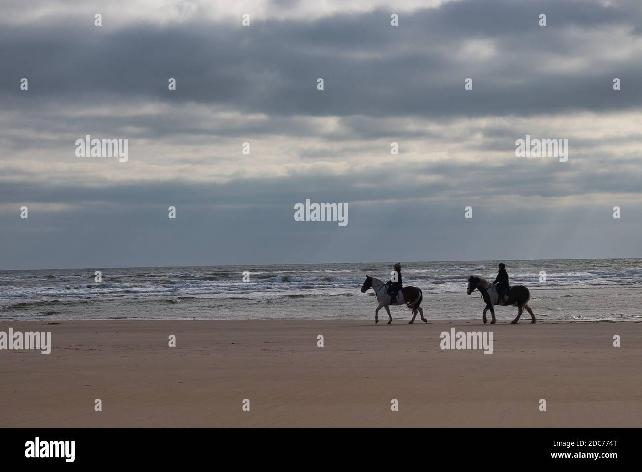 Horse riders on Beadnell Beach, Northumberland Stock Photo