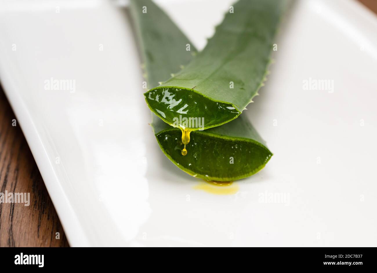 Aloe vera leaf cutting hi-res stock photography and images - Alamy