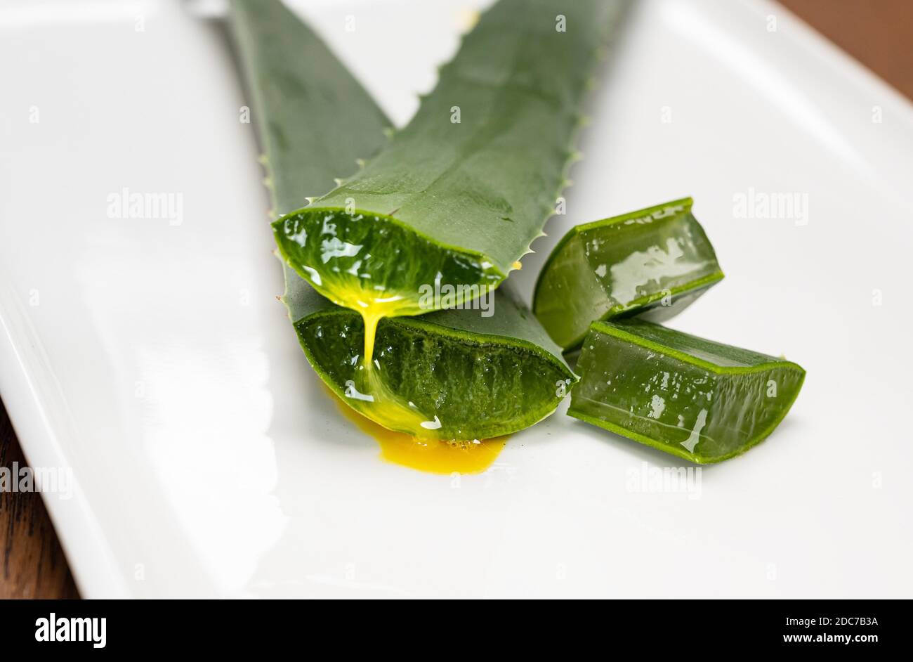 Yellow irritant secretion emerges as protection when cutting an aloe vera  leaf Stock Photo - Alamy