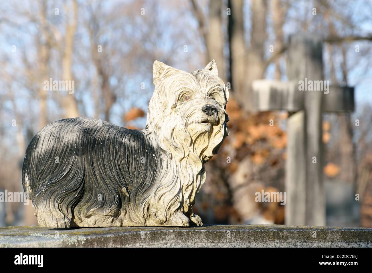 Can You Bury A Dog In A Human Cemetery