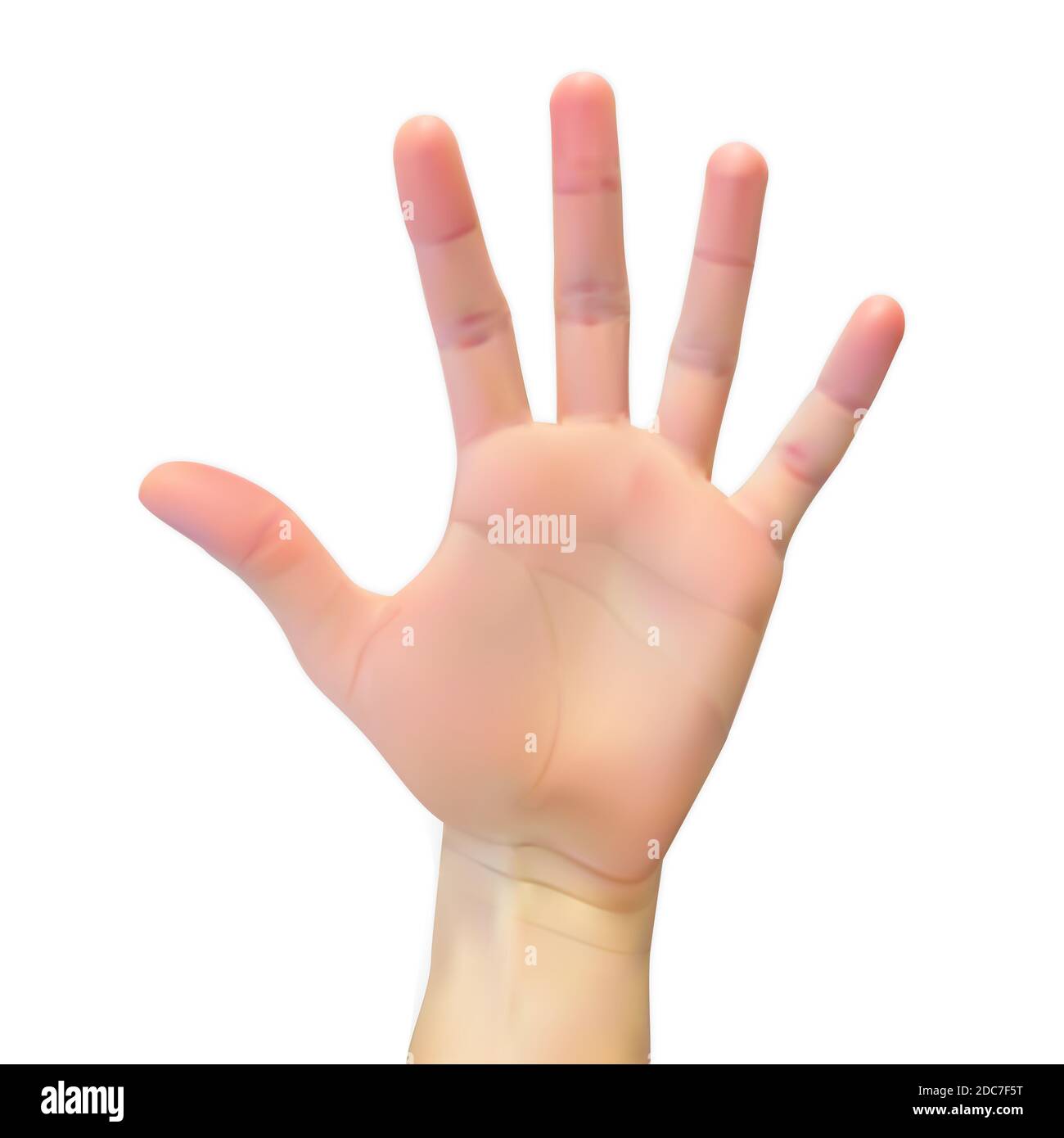 Realistic 3D Silhouette of an open hand on White Background. Illustration. Stock Photo