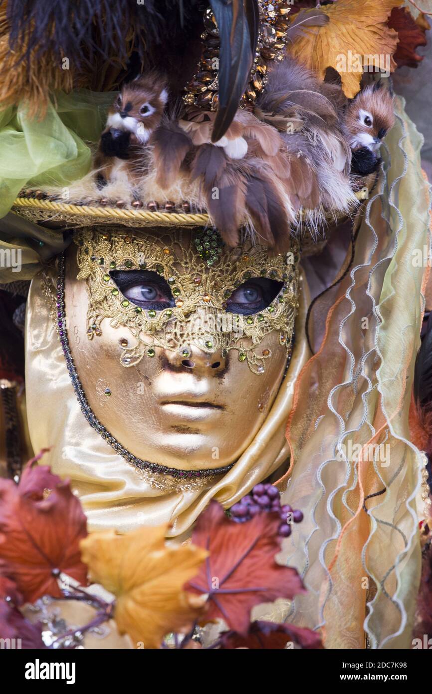 A female in a traditional Venice mask during the worldfamous carnival