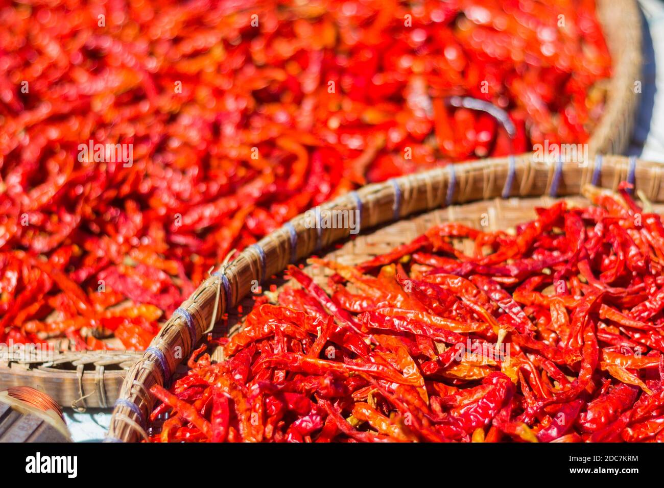 Red chili peppers drying in Phuket, Thailand Stock Photo