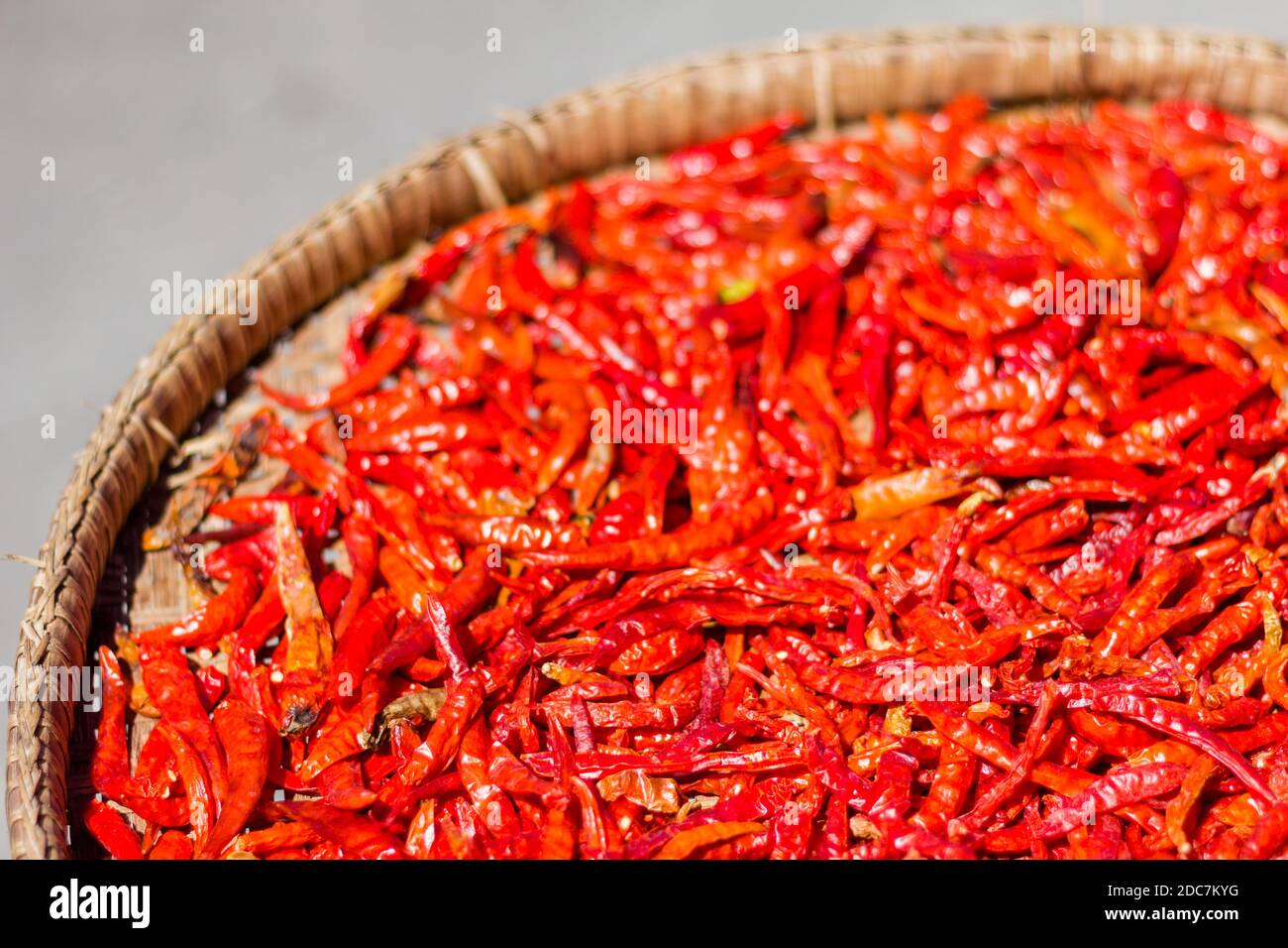 Red chili peppers drying in Phuket, Thailand Stock Photo