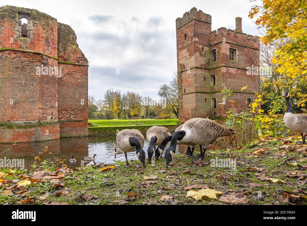 Kirby Muxloe Castle is an unfinished moated 15th century fortified manor house in Kirby Muxloe, Leicestershire, England. Uk Stock Photo