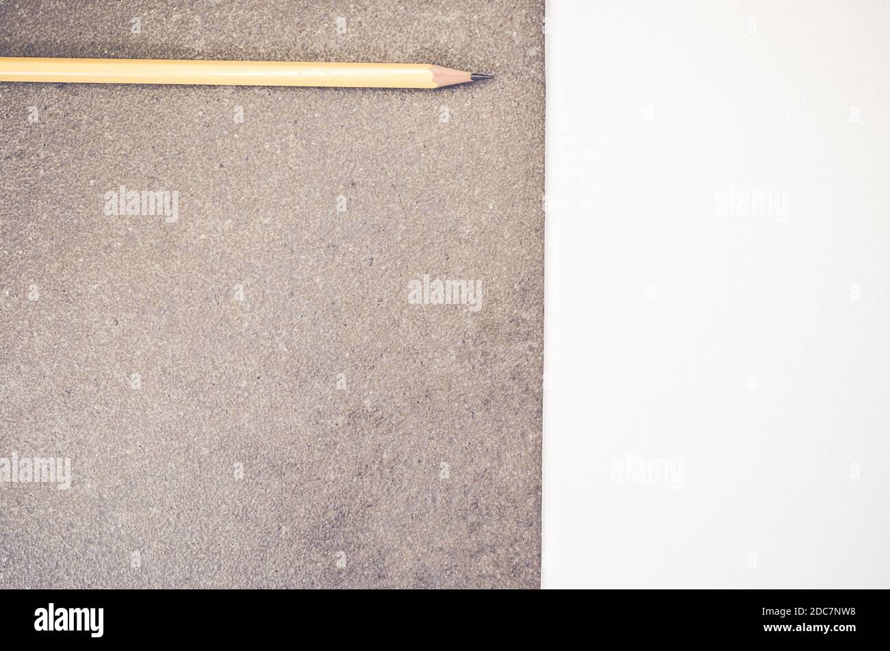 A high angle shot of pink roses and gardening scissors Stock Photo - Alamy