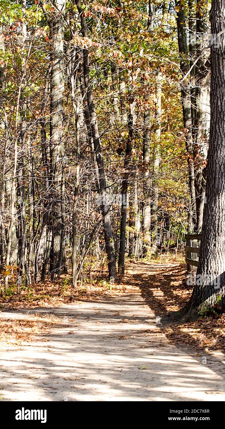 Empty Pathway Through Our Park High Resolution Stock Photography and ...