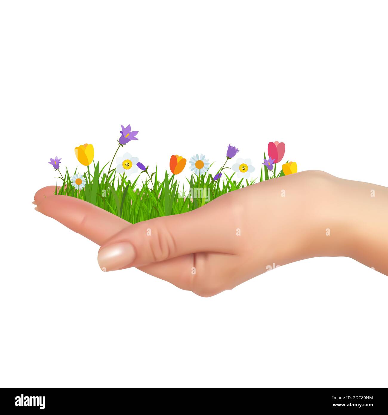 Grass and flowers in hand. Spring is cooming background. Illustration. Stock Photo