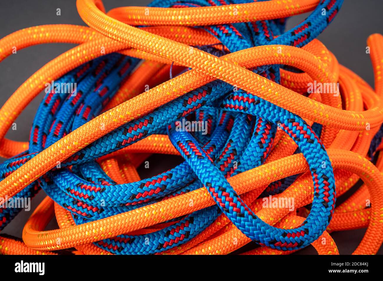 Ropes used as tree climbing equipment, Fallston, MD Stock Photo - Alamy