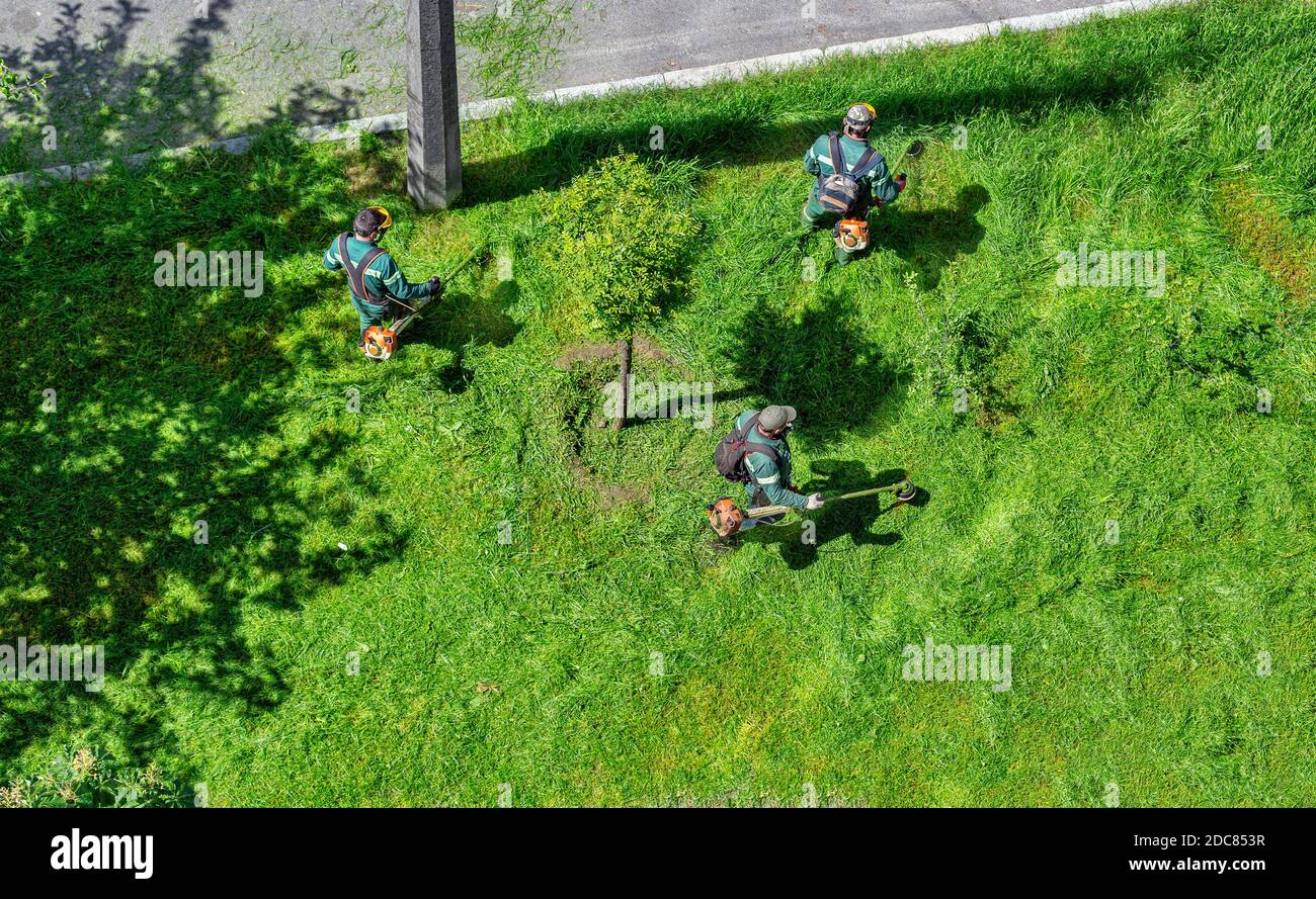 team of workers mow the grass with a gasoline brushcutters in the city, top view Stock Photo