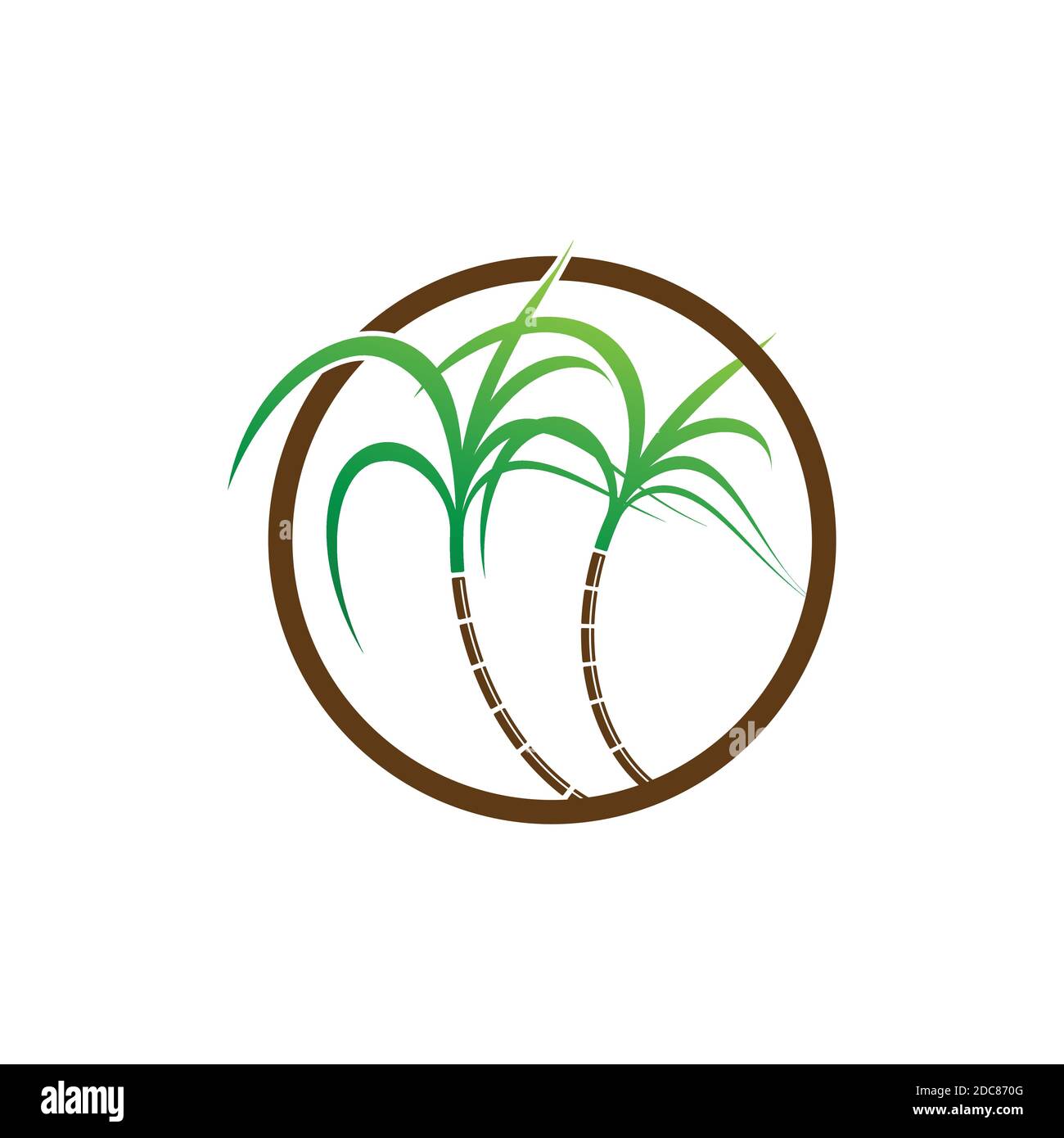 Sugarcane logo and symbol Stock Vector