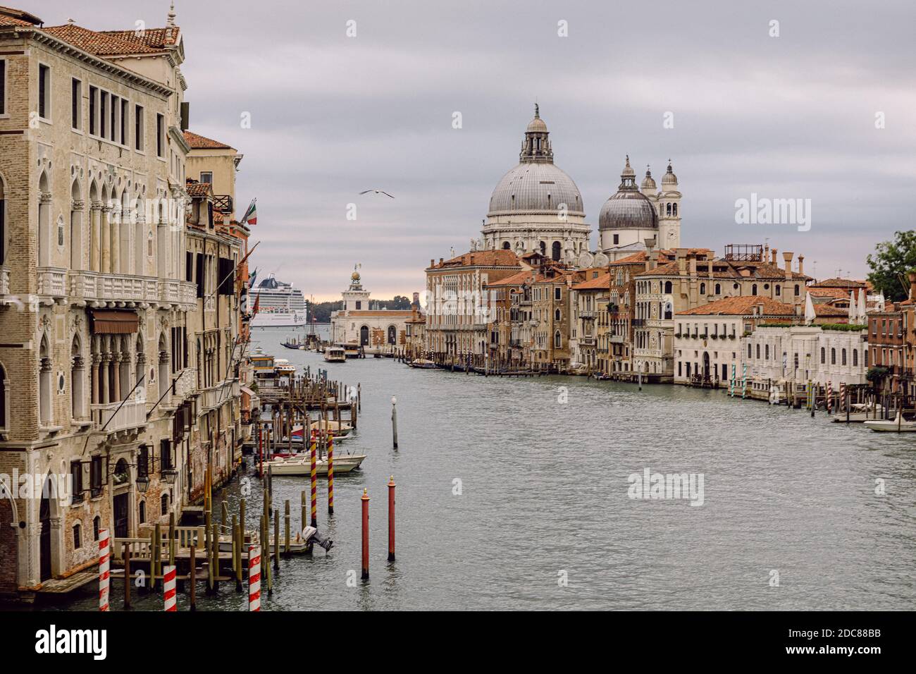 Venice cruise ship grand canal hi-res stock photography and images - Alamy